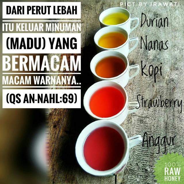 Madu Hutan Zaida 300 ml (Raw Honey)