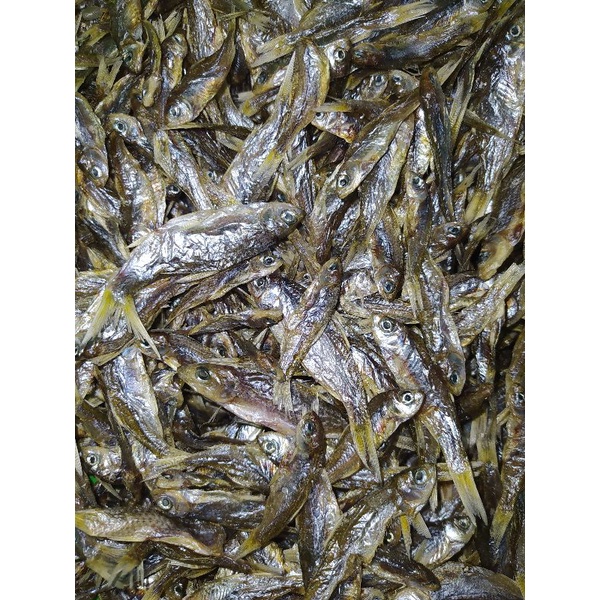 

Ikan Bilih Bulek Kering Asli Danau Singkarak