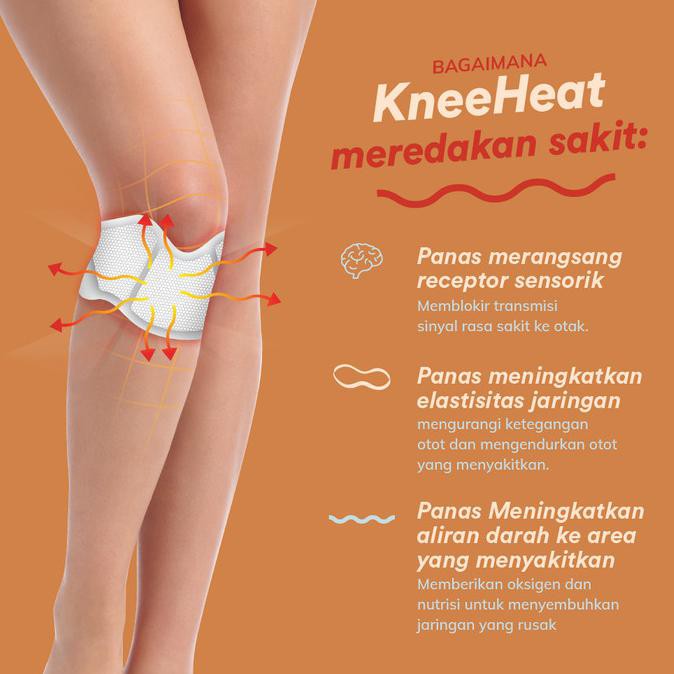 Kneeheat 6pcs Pereda Nyeri Lutut Alami Shopee Indonesia