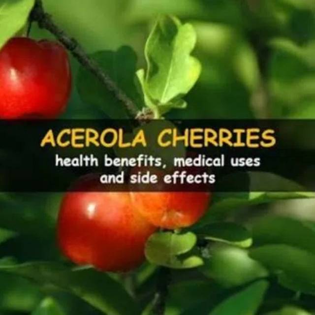 

Acelora Cherry Extract Powder 25g/Food Grade