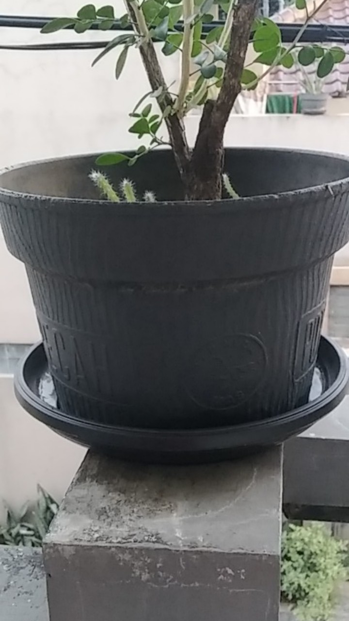 Tatakan Nkt 30 Hitam