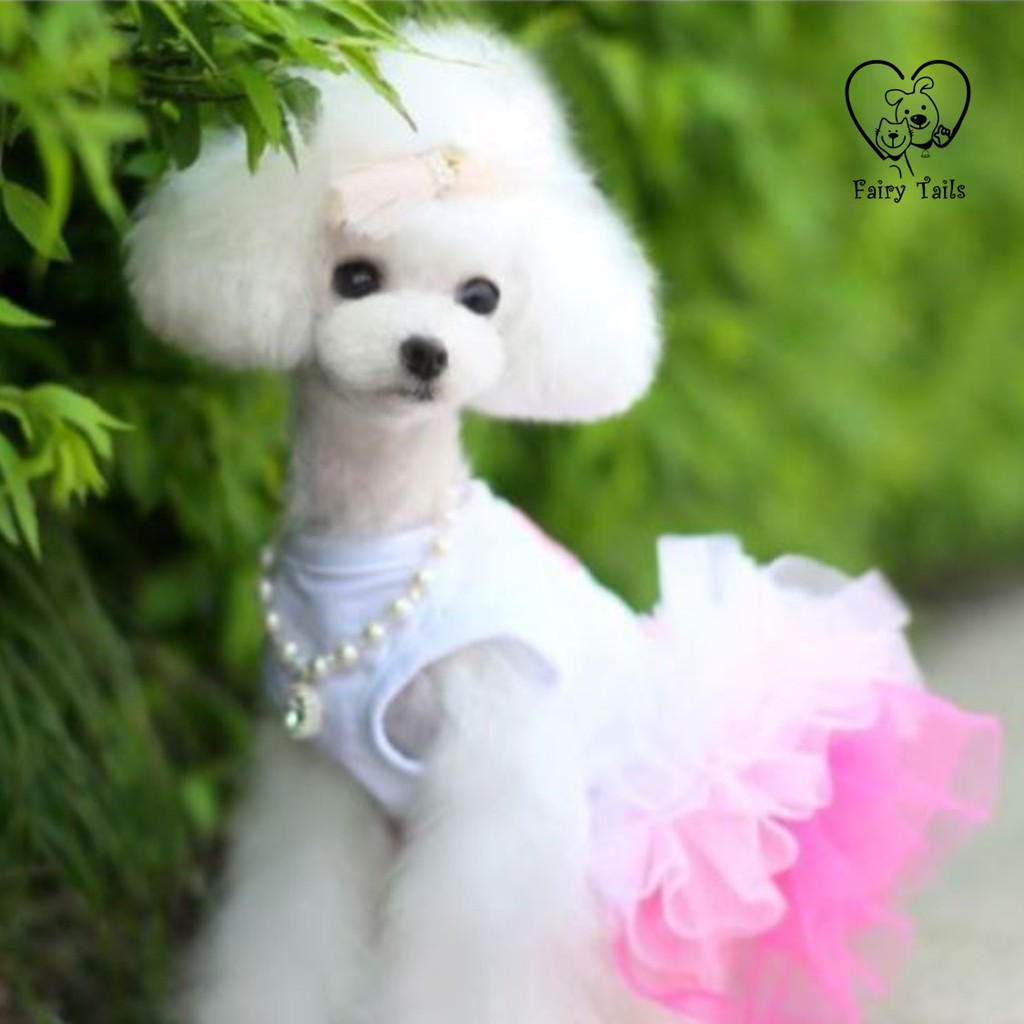 Baju Anjing Kucing Kostum Dress Princess Warna Warni dengan Rok Tutu | Pet Colorful Tutu Princess Dress