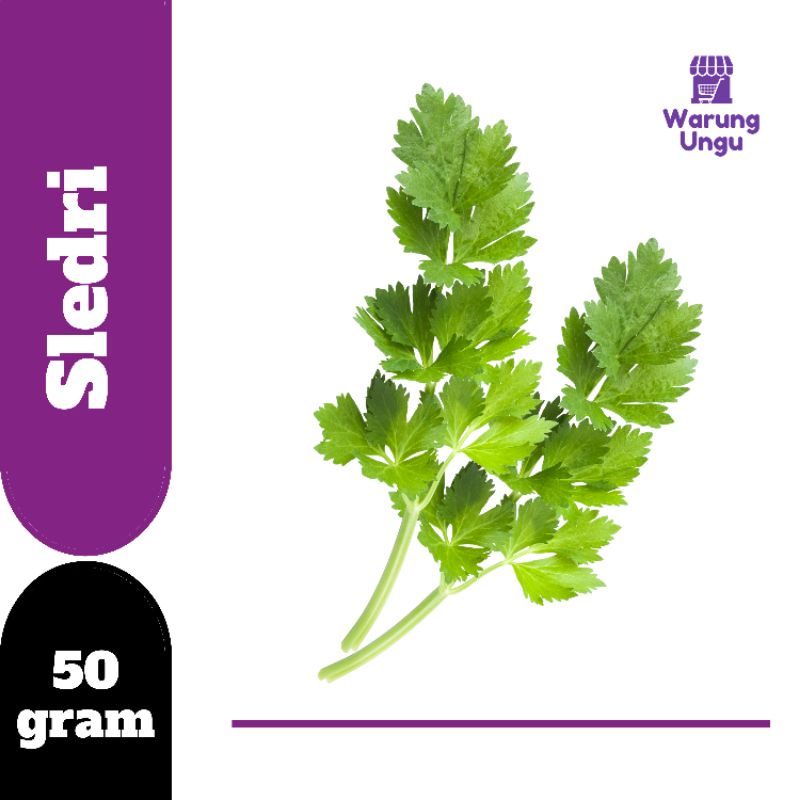 

SLEDRI | CELERY | SAYUR SEGAR MURAH | HANYA GOSEND