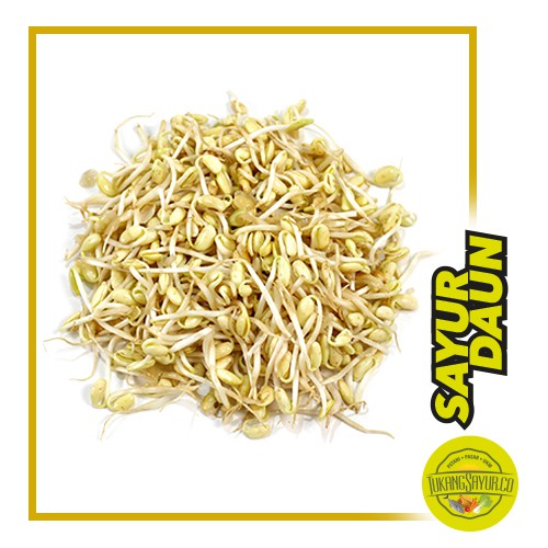 

Tauge - 250 gr