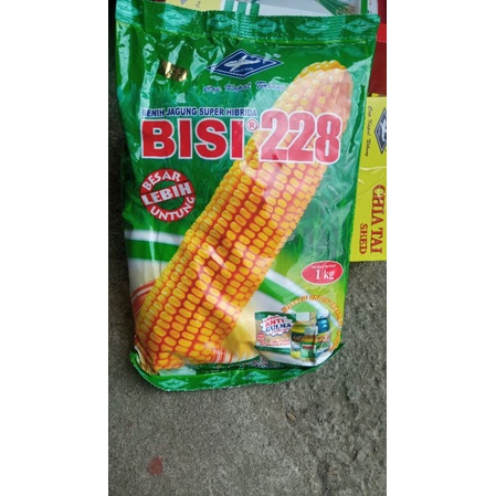 BENIH JAGUNG BISI 228 (1 KG)