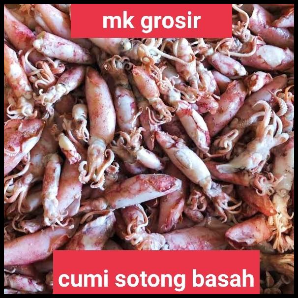 

Cumi Asin Basah Jarum /Ikan Asin Cumi Sotong Basah Jarum-500 Gram