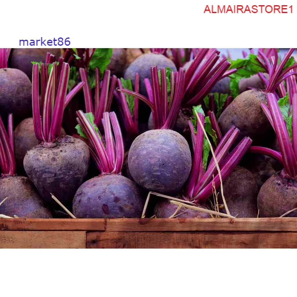 

Grosir Buah Segar FRESH Bit / Beet Root 500 Gram murah - Market86