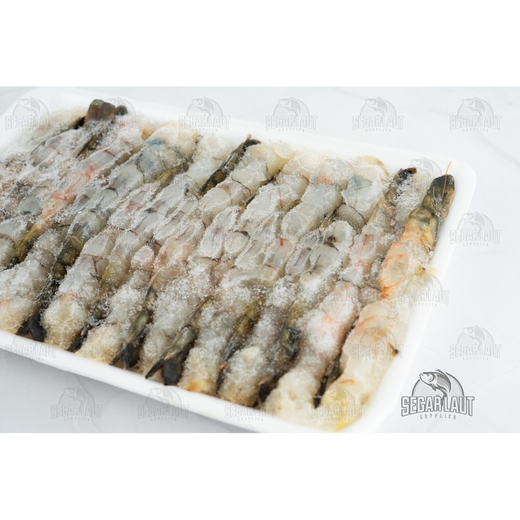 

UDANG KUPAS | UDANG TEMPURA | UDANG SUSHI | NOBASHI PRAWN | FRESH FROZEN