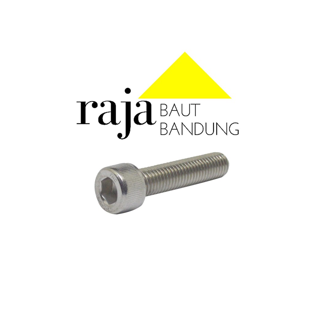 Baut L M10 10x45 Stainless Steel 304 THE