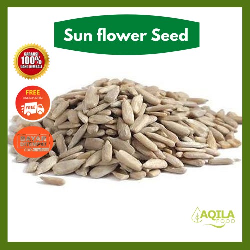 

Biji Bunga Matahari Sun flower Seed