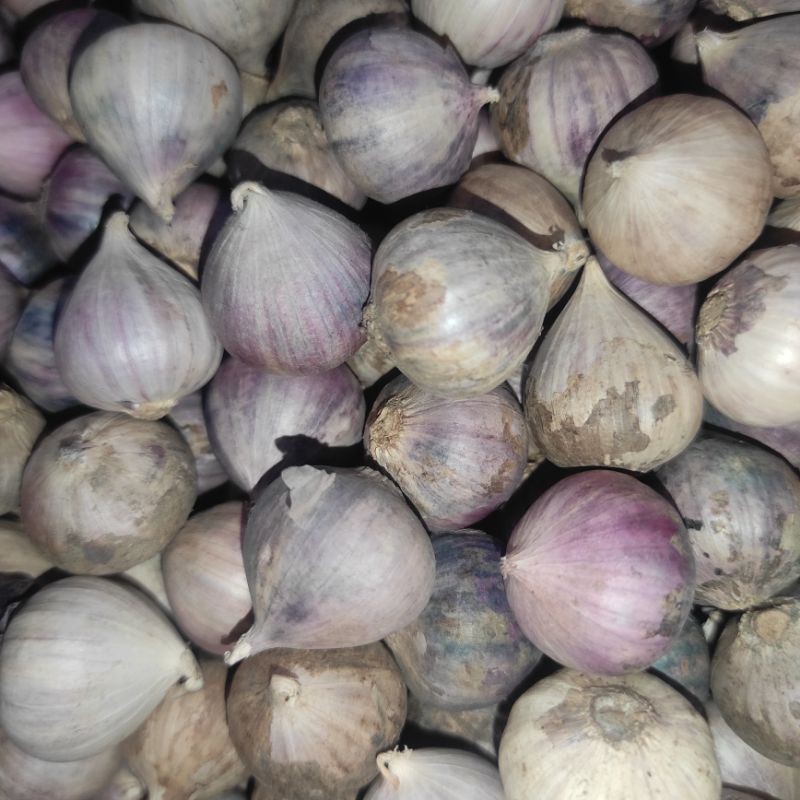 

100 gram bawang putih tunggal