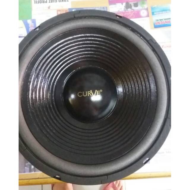 Speaker Woofer 12inch Curve dimedan