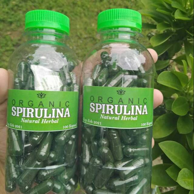 Masker spirulina spirulina mask Original