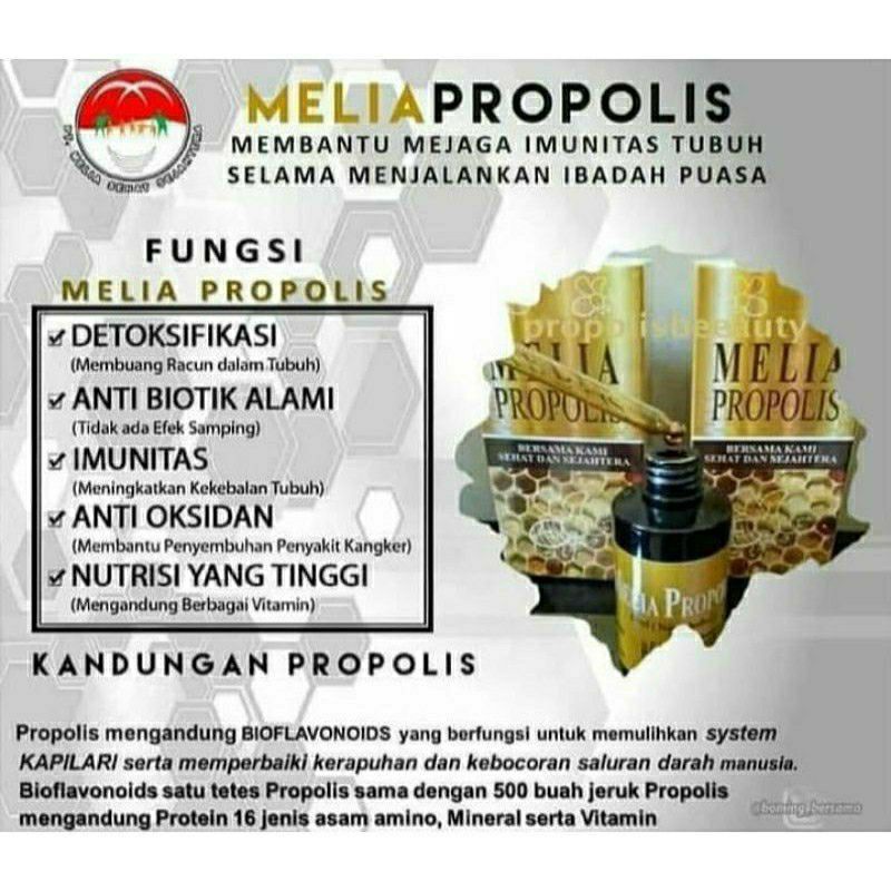 MELIA PROPOLIS 55ml ORIGINAL ASLI - PROPOLIS MELIA 55 ML ORI