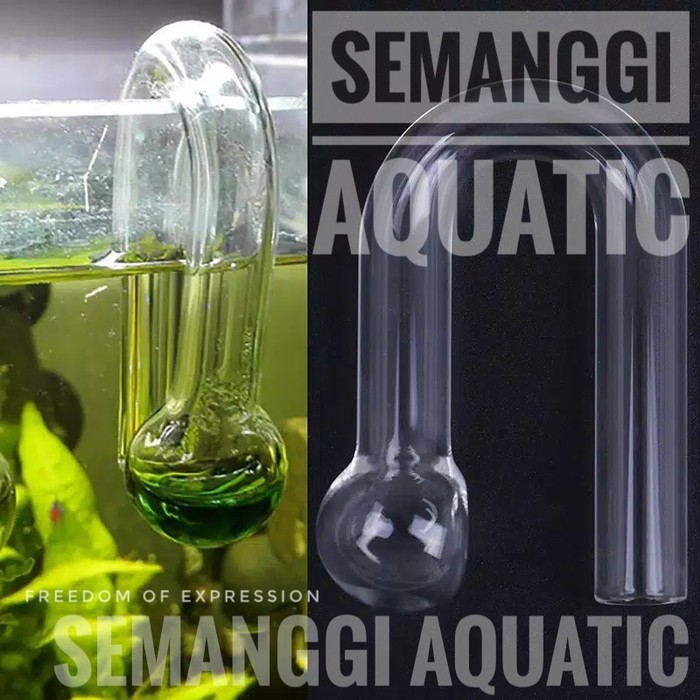 Glass Indicator Co2 / Indikator Co2 Kaca / Co2 Drop Checker