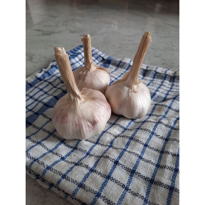 

bawangputih250gram