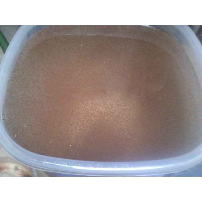 Promo Kutu Air   Pakan Ikan Cupang Murah