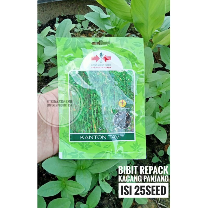 Bibit repack tanaman sayuran merk panah merah Samarinda