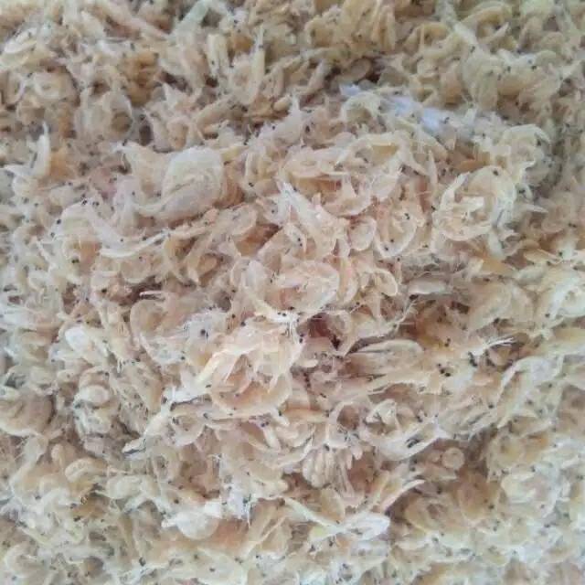 

Udang rebon asin