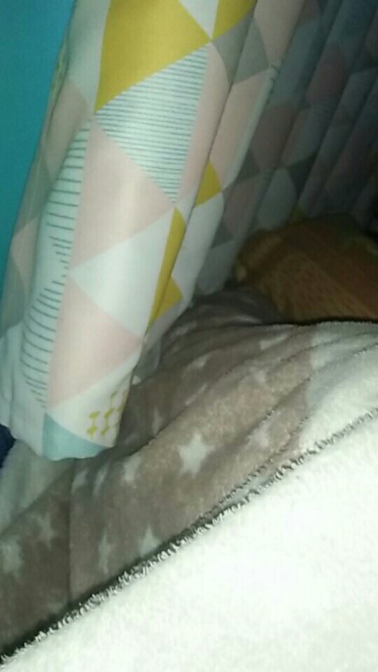 Kain Batik Solo (cabut) Motif Peksi Tarung Granit