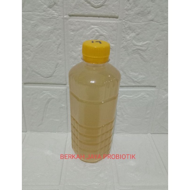 PROBIOTIK G14 500 ML ORIGINAL PROF SUKARDI