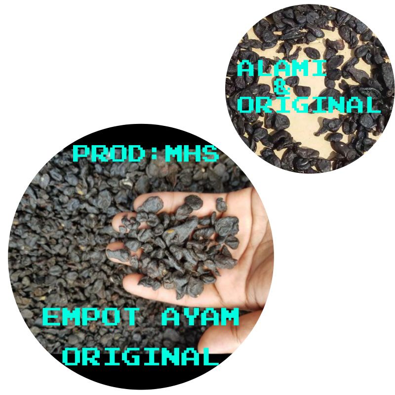 Mpot ayam / empot ayam / mpot-mpotan ayam utuh hitam dan putih original