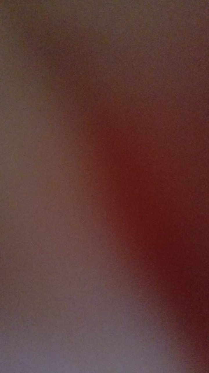 Kelambu Tenda Lipat Butter