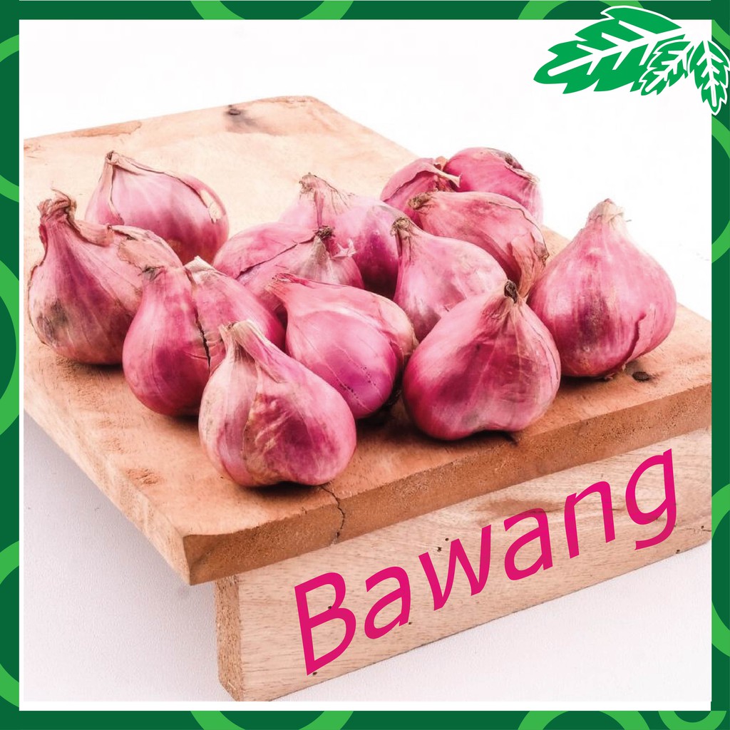 

BAWANG MERAH SAYUR SAYURAN SEGAR FRESH MAKANAN 500 GRAM