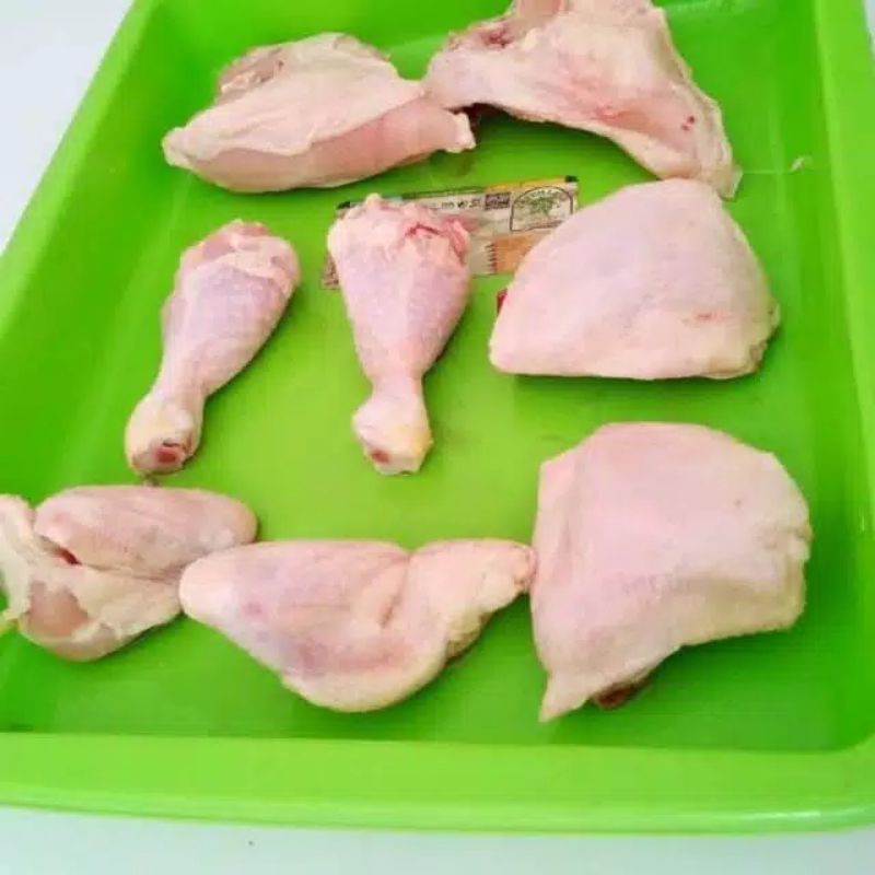 

ayam potong 8 biji/ekor