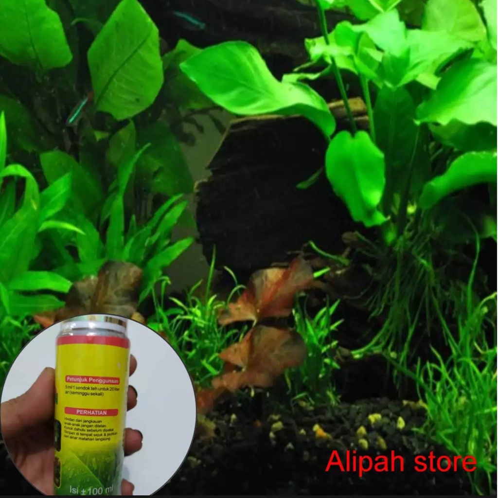 pupuk cair tanaman aquarium/aquascape