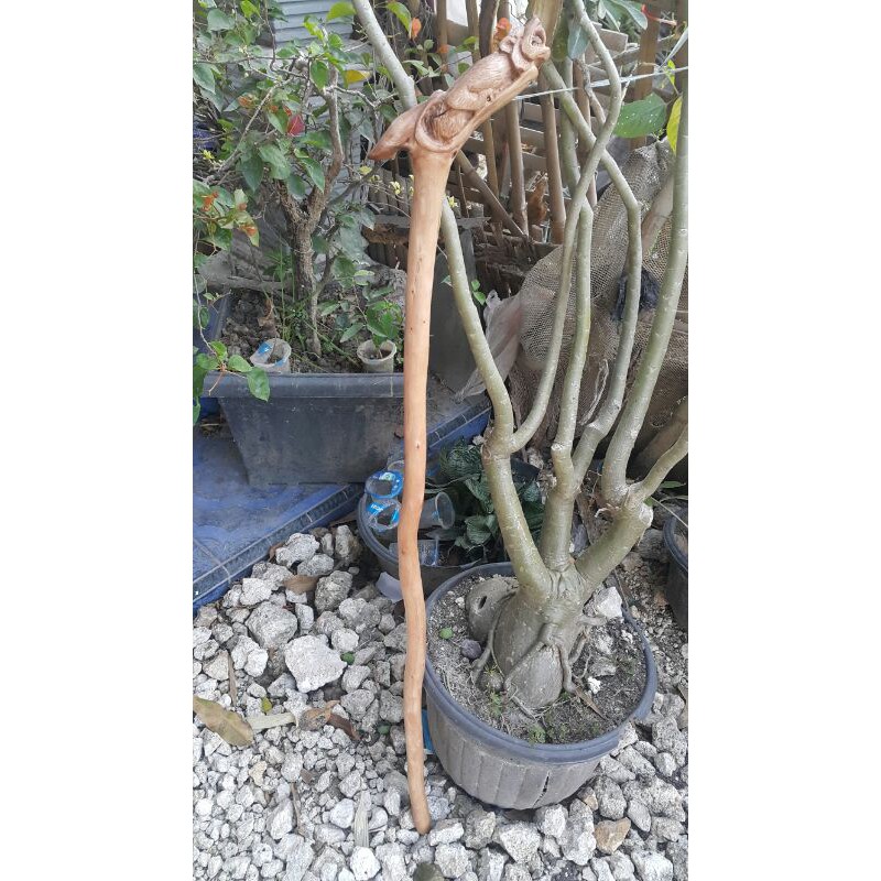 

tongkatjalansulaiman