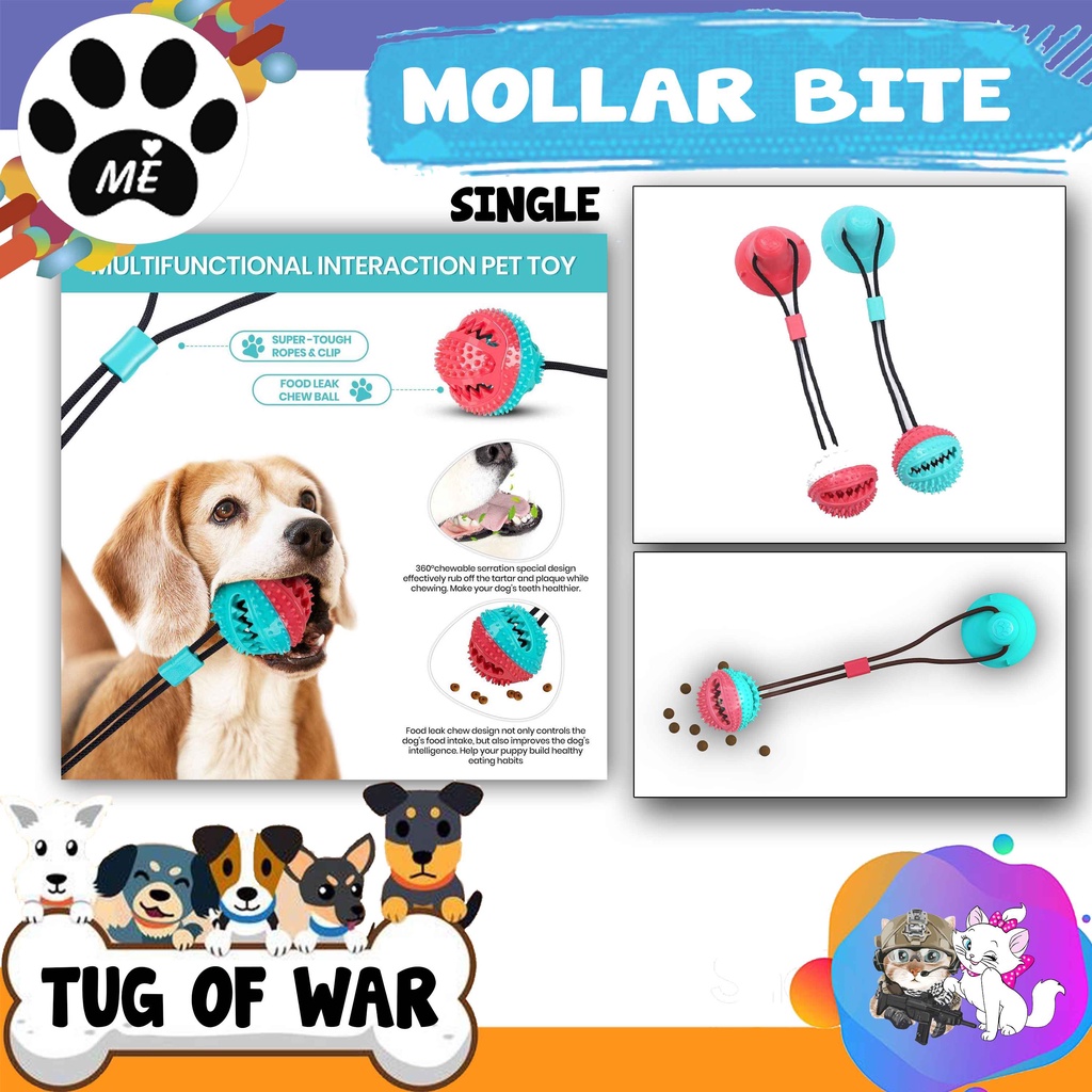 Interactive Molar bite Tug of War Single