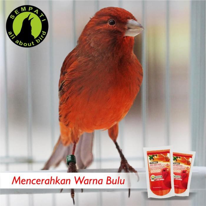 Pakan Burung Kenari Finch Red Dry Food Cede Probird