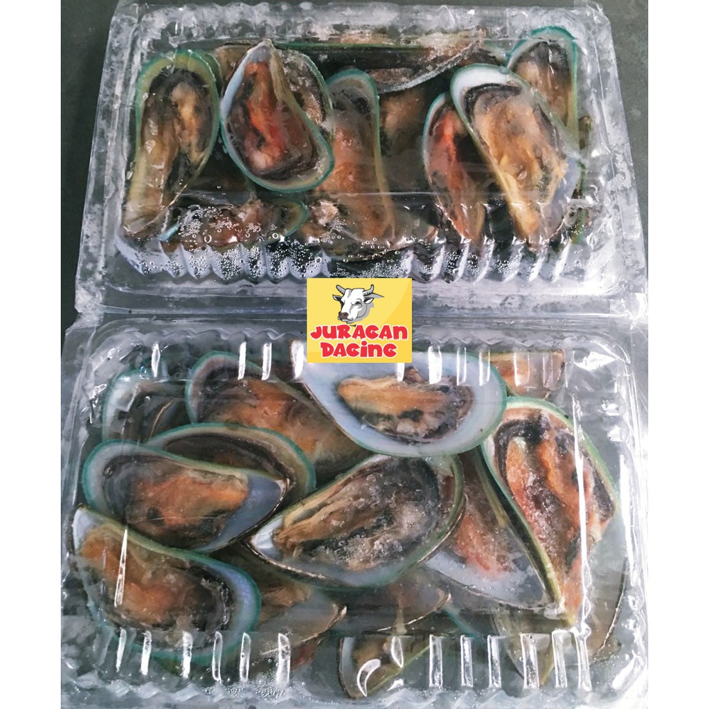 

Kerang Hijau / green mussel Premium Quality - 500 gram