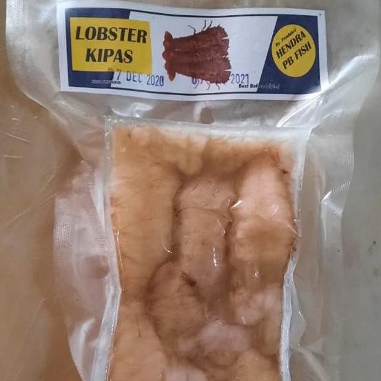 

Lobster Kipas (Daging)/Kg Ready Stok