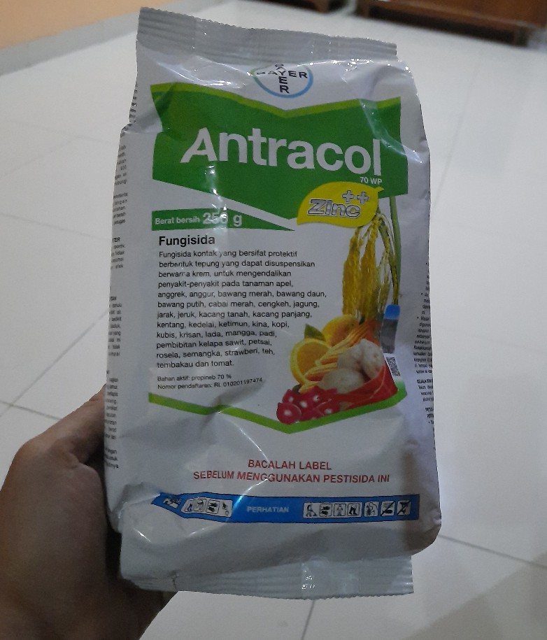 Fungisida Antracol 70wp + Zinc 250 Gram