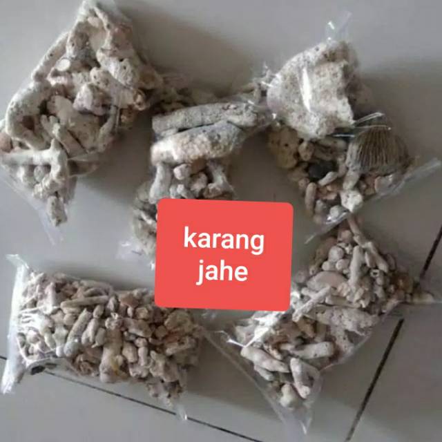 media filter karang jahe aquarium kolam ikan koi