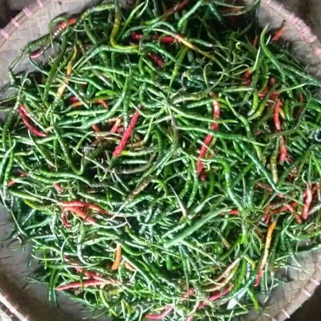 

cabe ijo keriting 1kg