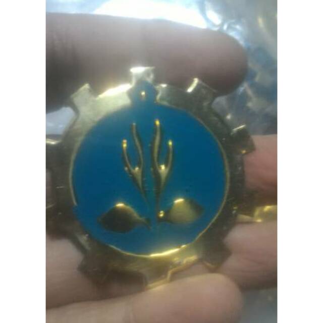 Tanjab dewan ambalan putri