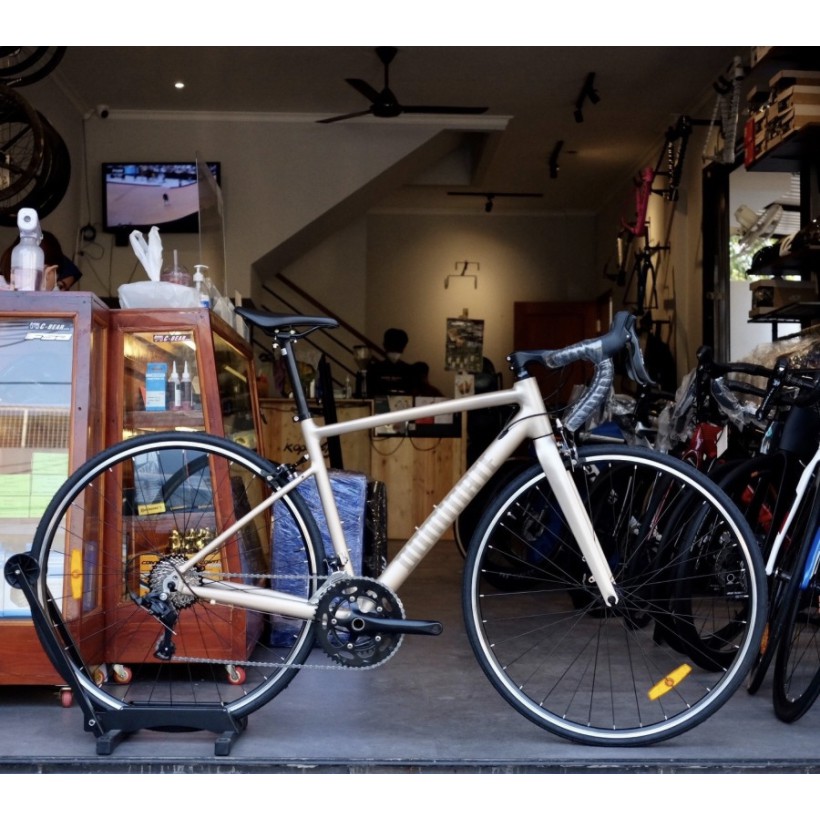 SEPEDA ROADBIKE DOMINATE RR ALLOY 20 SPEED UBRAKE 700C BY UNITED