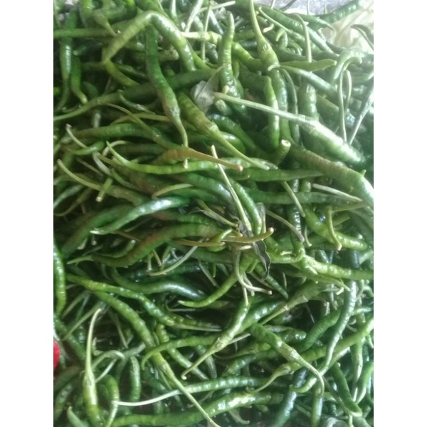 

CABE HIJAU 100 gr