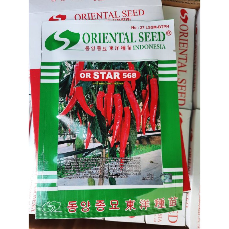 Benih Cabe Besar OR Star 568 Tahan Hama dan Virus Isi 1800 Biji