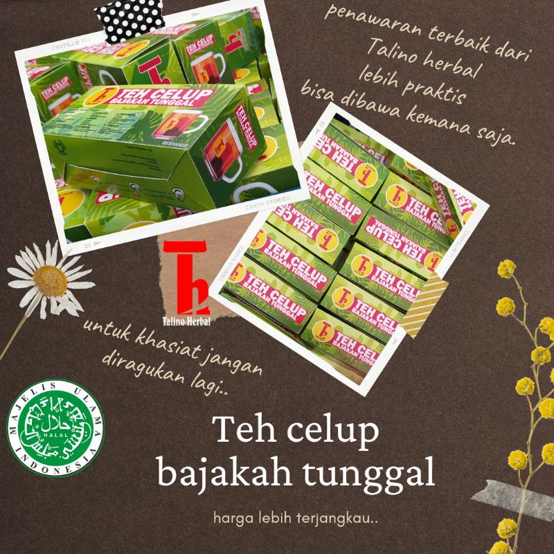 

Teh celup bajakah terlaris asli kalimantan