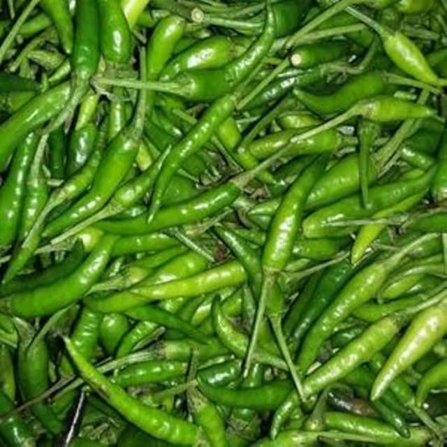 

Cabe Rawit Segar Murah (Medan)