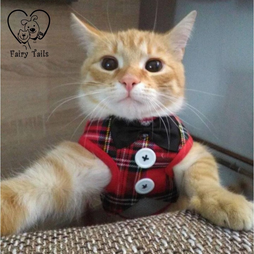 Harness Tali Tuntun Anjing Kucing Model Gentleman Bowtie Rompi Jas Elegan/Pet Harness Elegant Bowtie