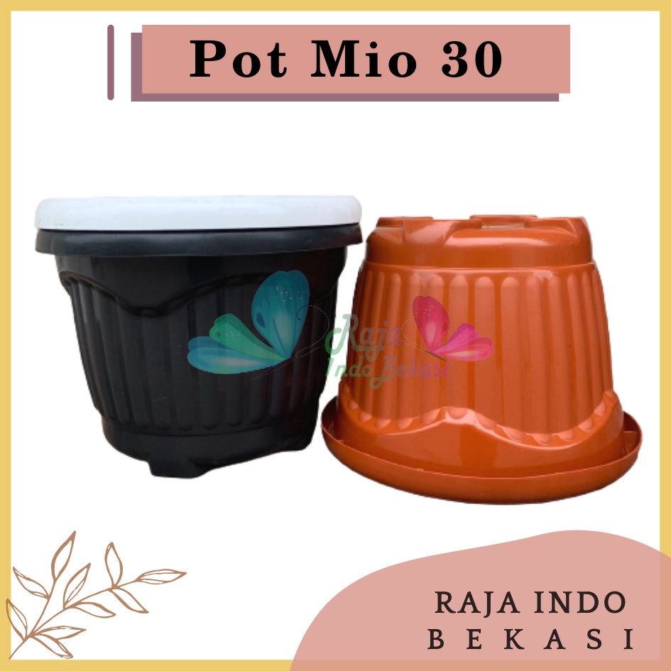 Pot Shallom Mio 30 Putih Hitam Merah BataTerracota Terracotta Merah Coklat Pot Bunga Plastik Tebal Murah Besar Kuat Motif Model Belimbing 30 cm Putih Hitam Selusin Lusinan Tebal - SHALLOM MIO 30 pot bunga bulat besar tebal murah