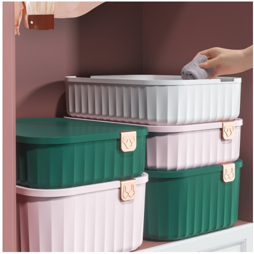 HomiHomi Kotak Penyimpanan Pakaian Serbaguna dengan Tutup Tempat Organizer Storage Box - USB005A