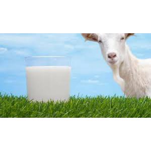 

Nutrigoat - Mantap Berkhasiat