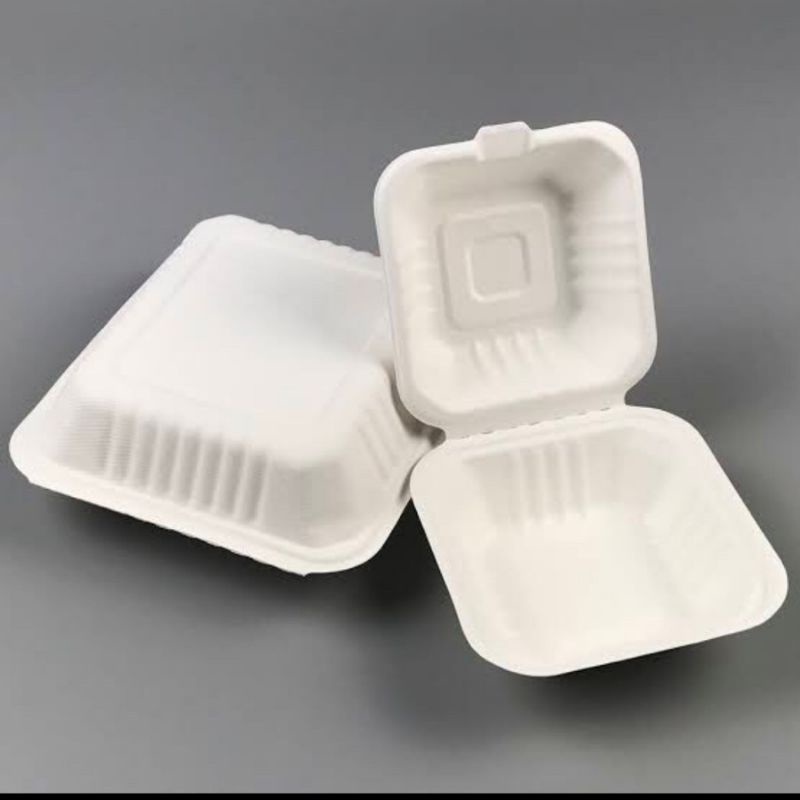 Bagasse box