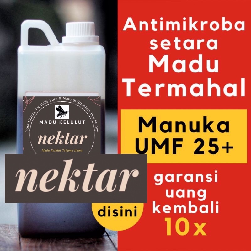 

Madu Kelulut Trigona Klanceng